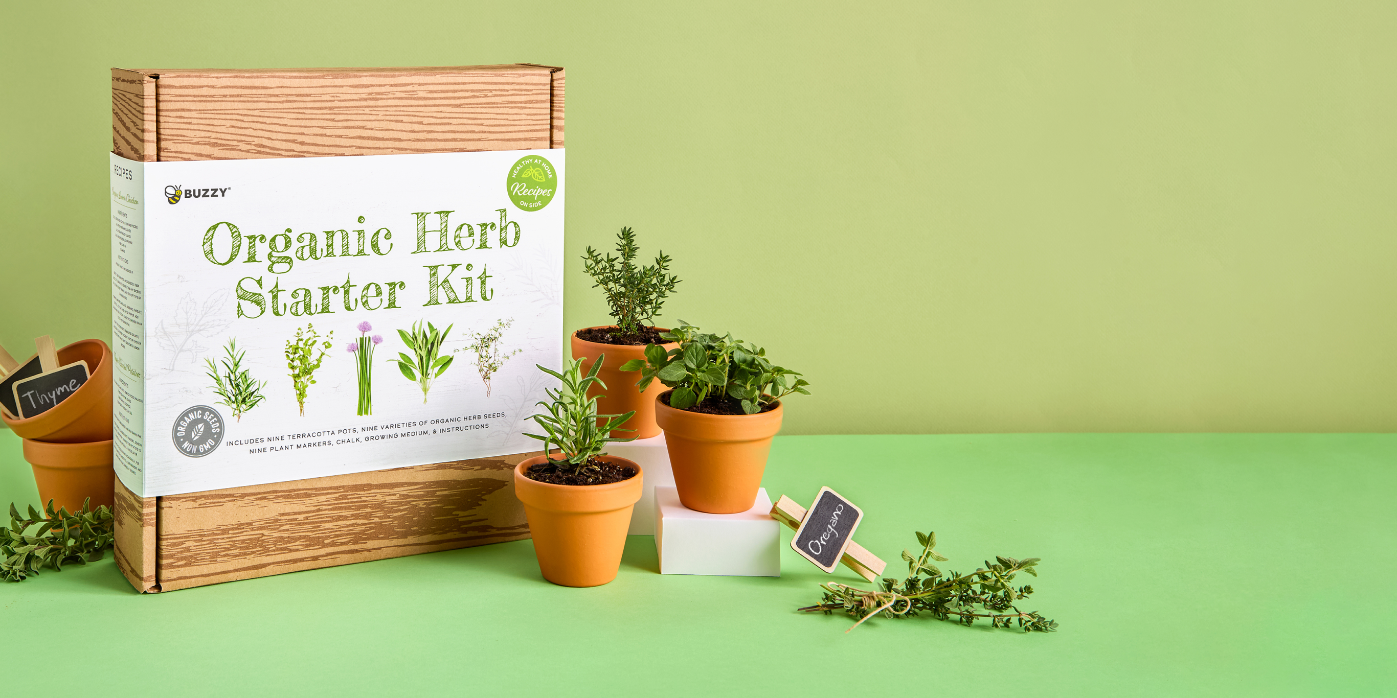 Herbs – Buzzy Seeds