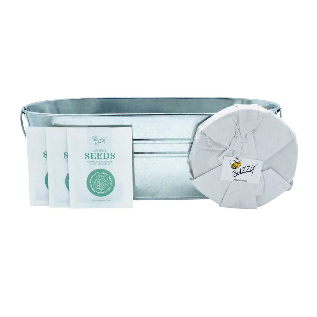 Kitchen Herbs & Strawberry Windowsill Grow Kit | 2-pack