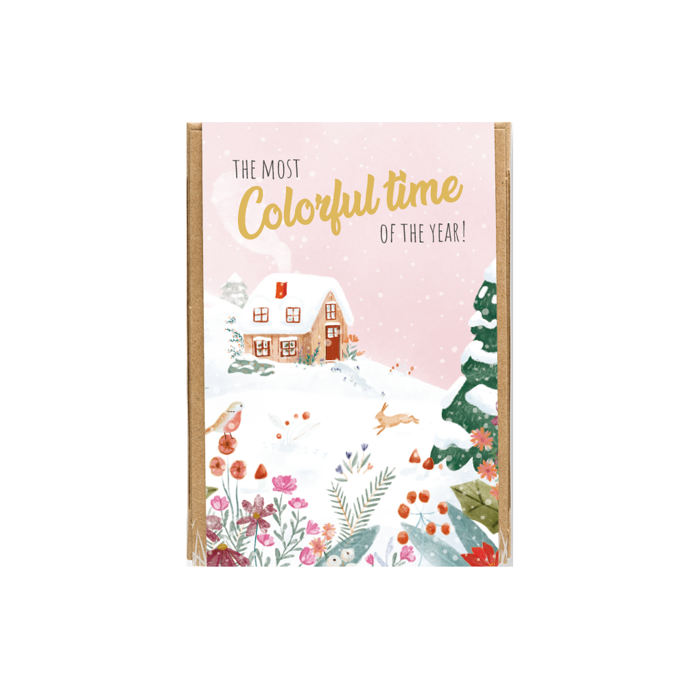 Winter Wonderland Wildflower Seed Balls Mini Gift Box | 50+ Non-GMO Seeds per Ball