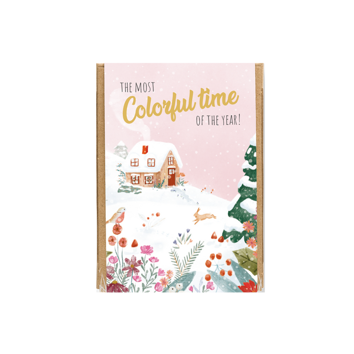 Winter Wonderland Wildflower Seed Balls Mini Gift Box | 50+ Non-GMO Seeds per Ball