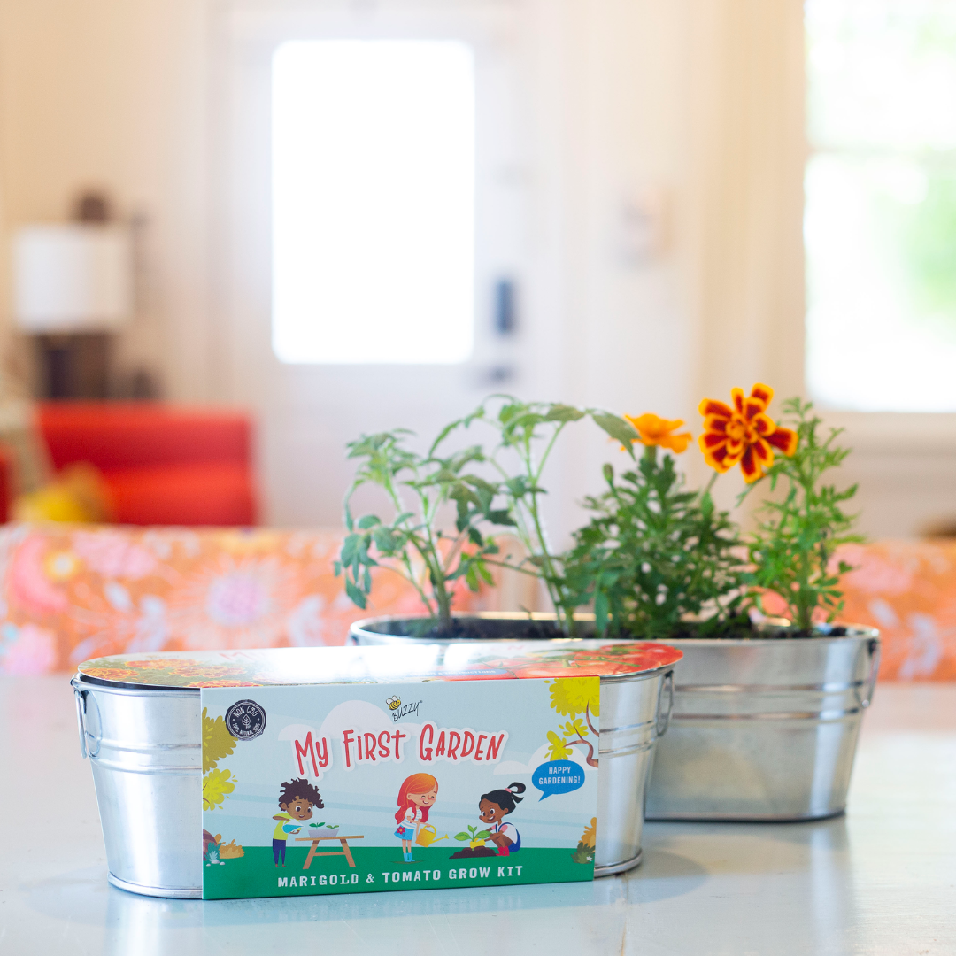 My First Garden Windowsill Grow Kit | Tomato & Marigold