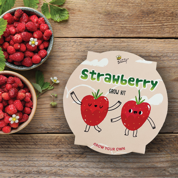 Kids Strawberry Mini Basin Grow Kit | Alpine Strawberry