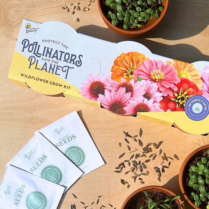 Save The Bees Terracotta Trio Pollinator Grow Kit 3-Pack | Coneflower, Zinnia, Cosmos