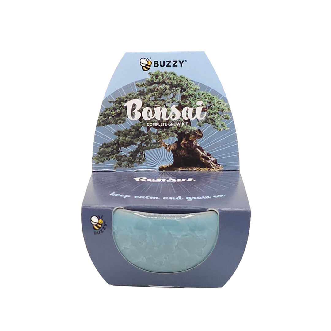 Bonsai Tree Grow Kit 4-Pack