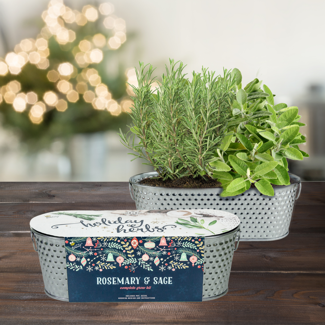 Holiday Herb Grow Kit – Rosemary & Sage for Windowsill Gardening