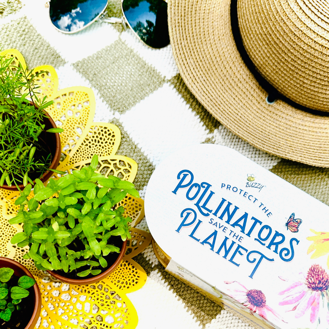 Wildflower Garden Pollinator Windowsill Grow Kit | Purple Coneflower & Black-Eyed Susan