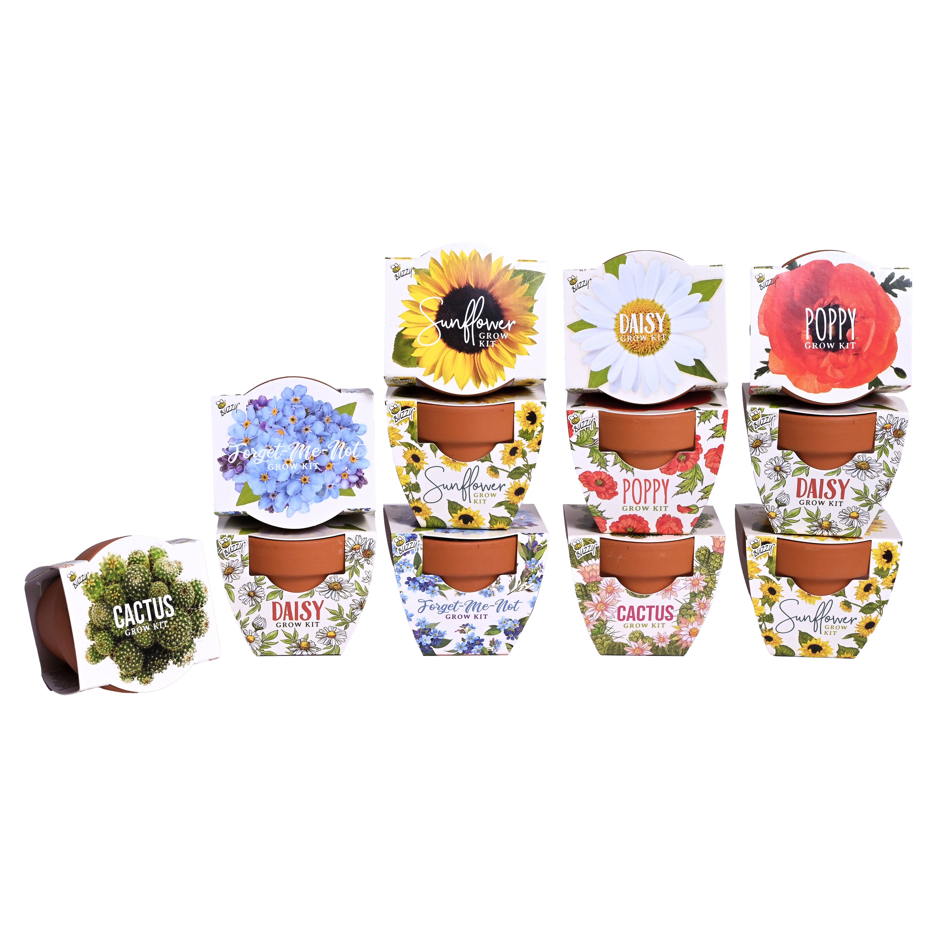 Mini Grow Kits for Events & Wedding Favors (12 Pack) – Buzzy Seeds