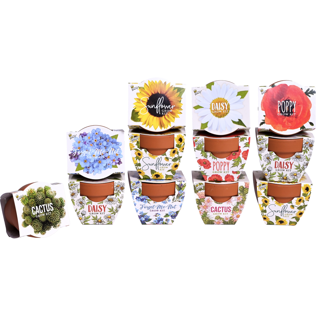 Daydream Mini Terracotta Grow Pots | Assorted 12-pack