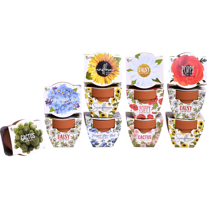 Daydream Mini Terracotta Grow Pots | Assorted 12-pack