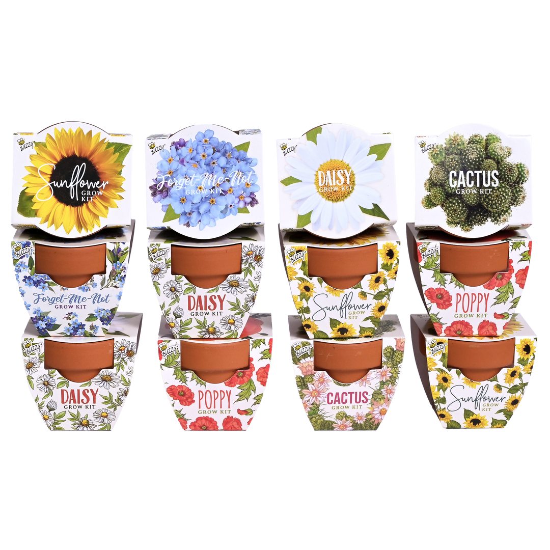 Daydream Mini Terracotta Grow Pots | Assorted 12-pack