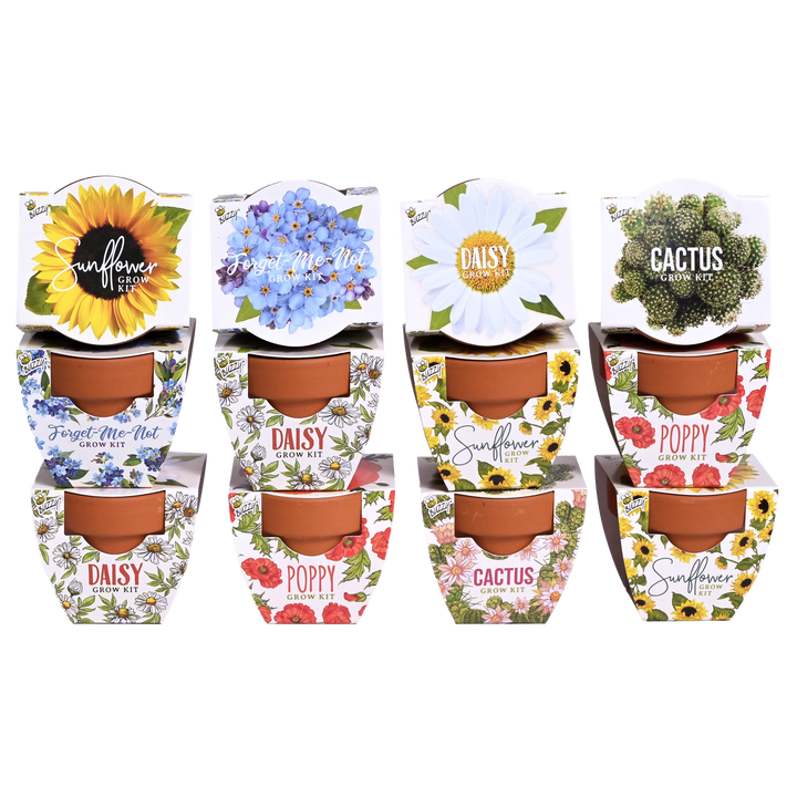 Daydream Mini Terracotta Grow Pots | Assorted 12-pack