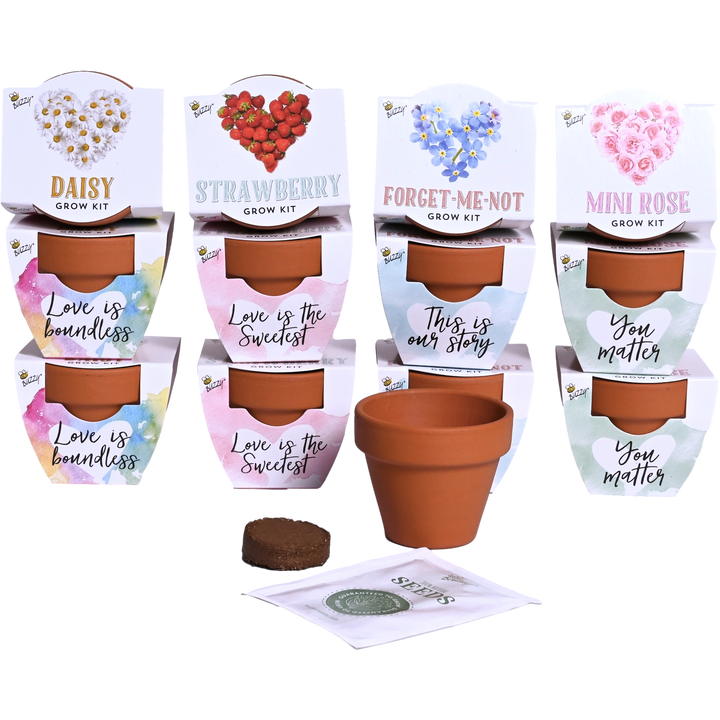 Love Mini Terracotta Grow Pots | Assorted 12-pack