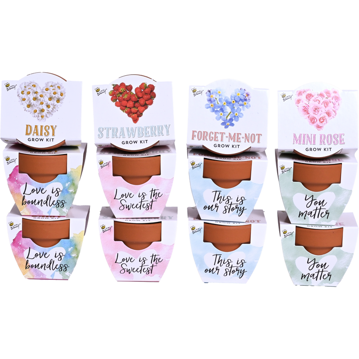 Love Mini Terracotta Grow Pots | Assorted 12-pack