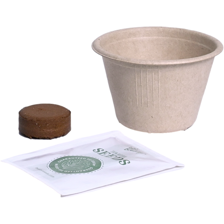 Save the Bees Wildflower Paper Cup Grow Kit | Assorted 12-pack