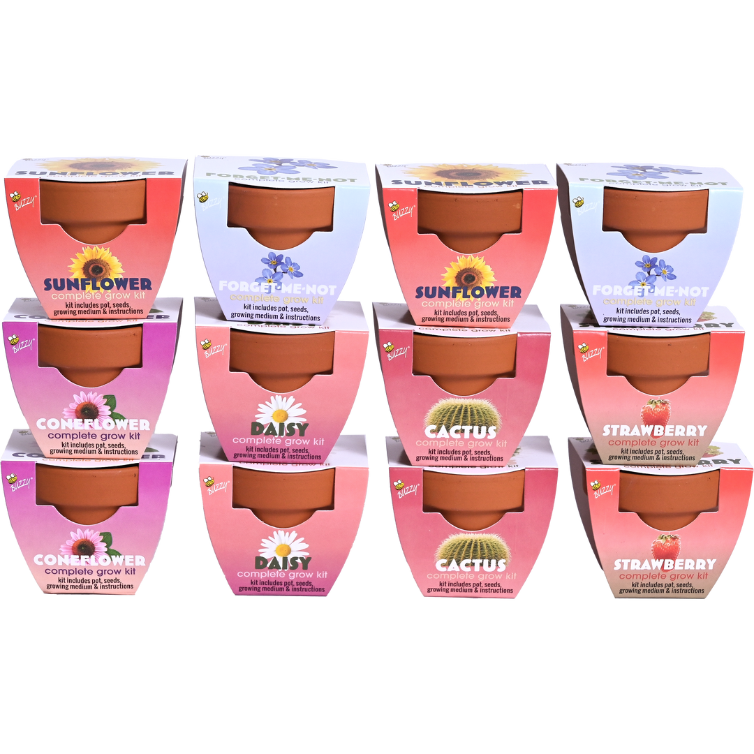 Classic Mini Terracotta Grow Pot | Assorted 12-pack