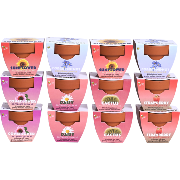 Classic Mini Terracotta Grow Pot | Assorted 12-pack
