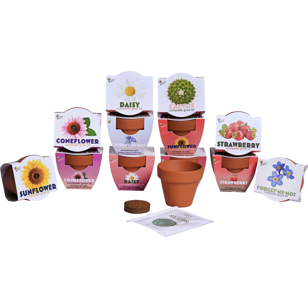 Classic Mini Terracotta Grow Pot | Assorted 12-pack