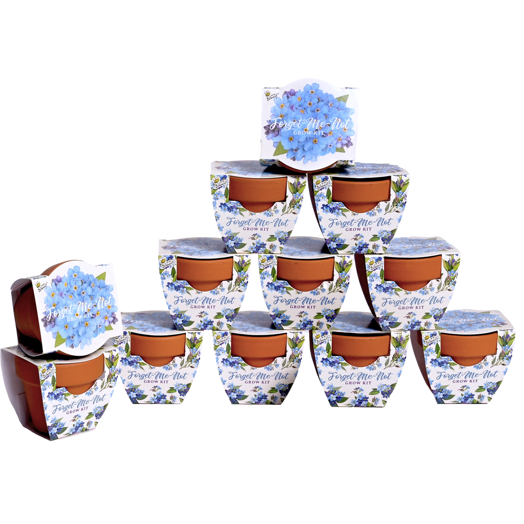 Daydream Mini Terracotta Grow Pots | Forget-Me-Not 12-pack