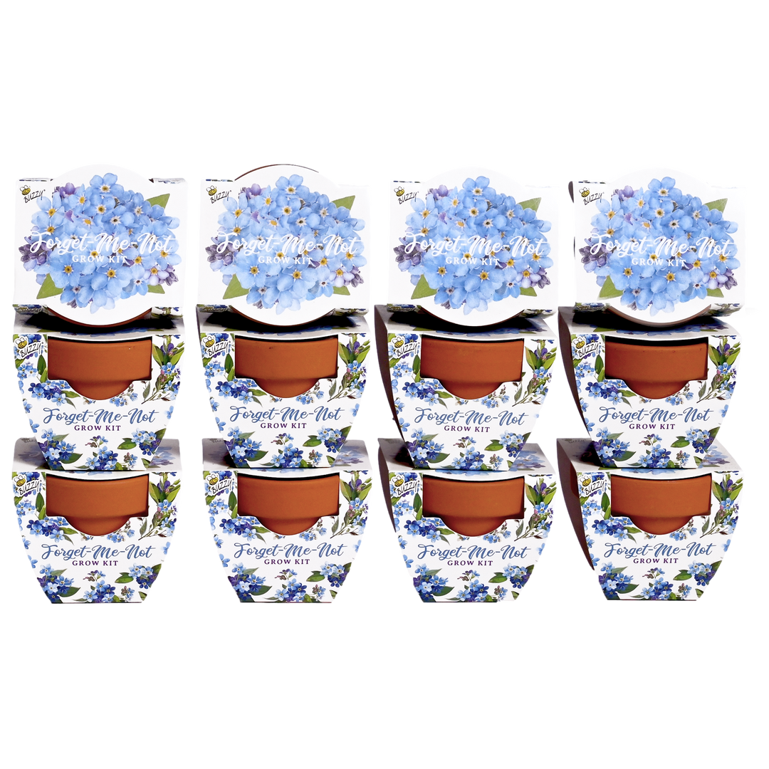 Daydream Mini Terracotta Grow Pots | Forget-Me-Not 12-pack