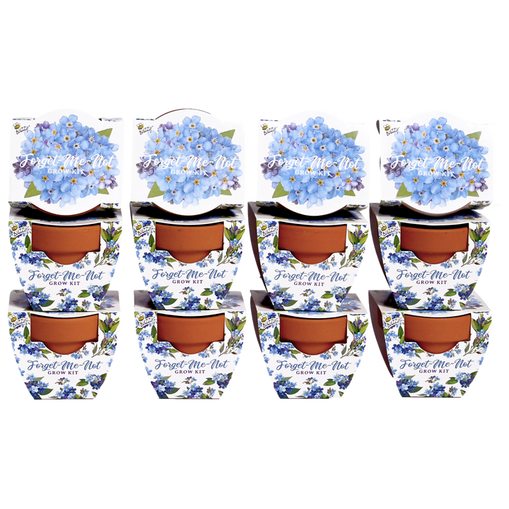 Daydream Mini Terracotta Grow Pots | Forget-Me-Not 12-pack