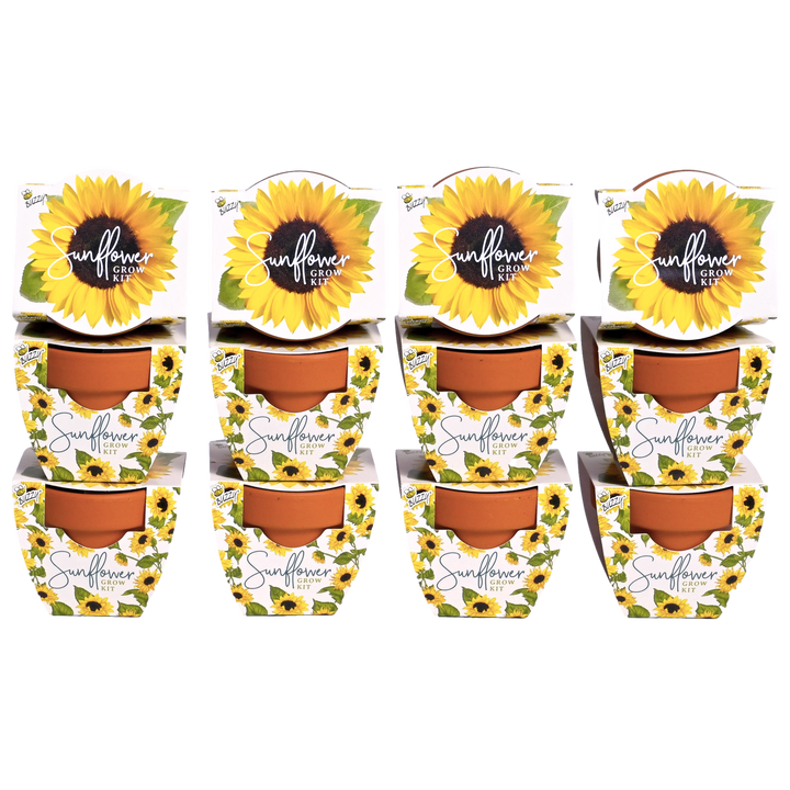 Daydream Mini Terracotta Grow Pots | Sunflower 12-pack