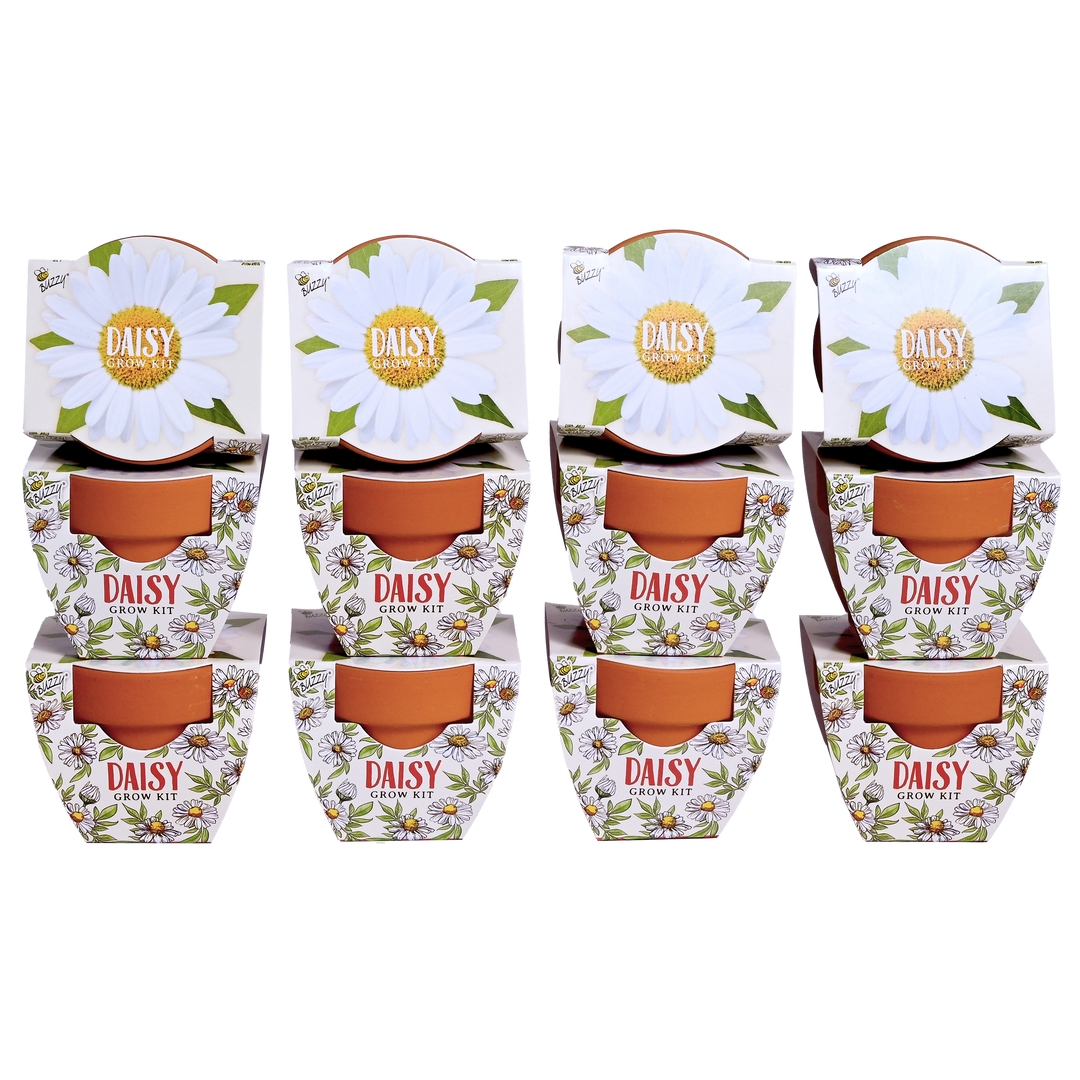 Daydream Mini Terracotta Grow Pots | Daisy 12-pack