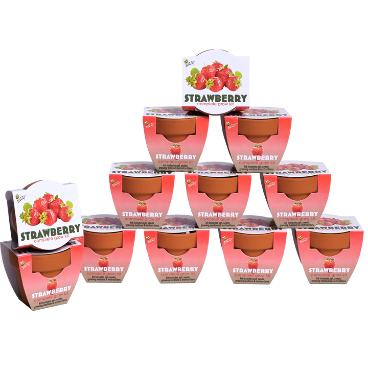 Classic Mini Terracotta Grow Pots | Strawberry 12-pack
