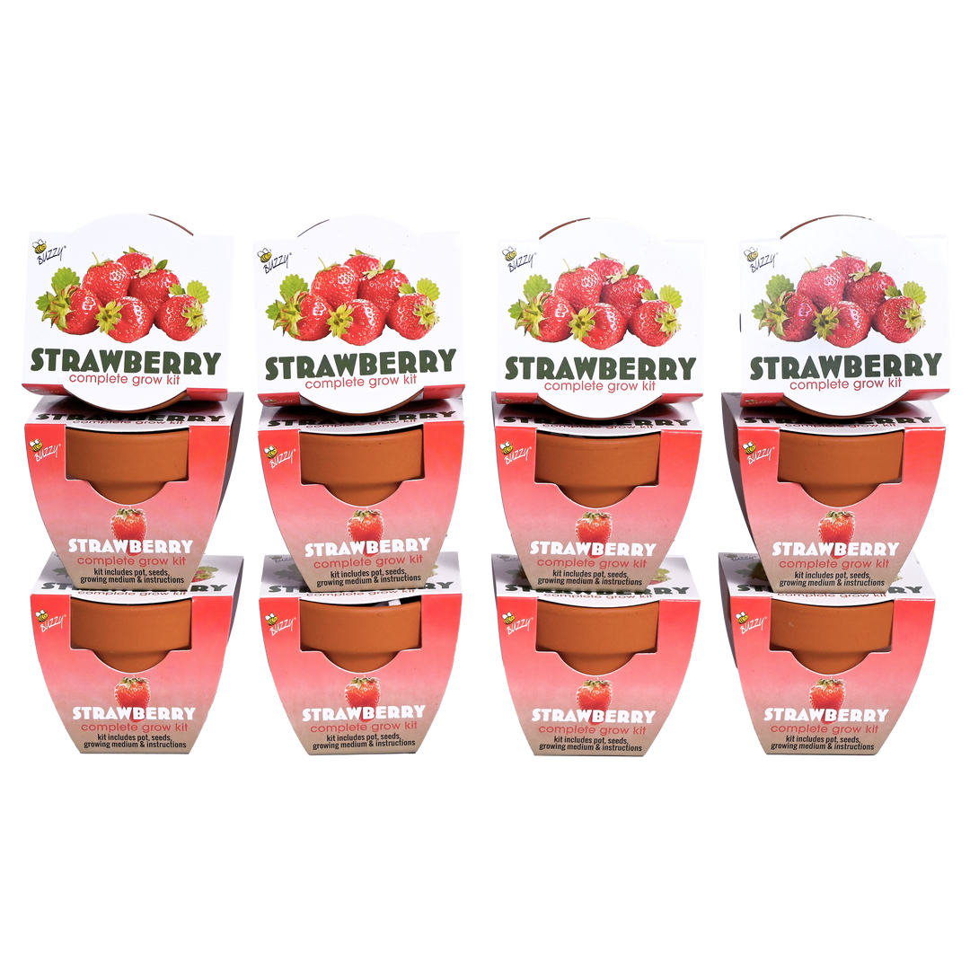Classic Mini Terracotta Grow Pots | Strawberry 12-pack