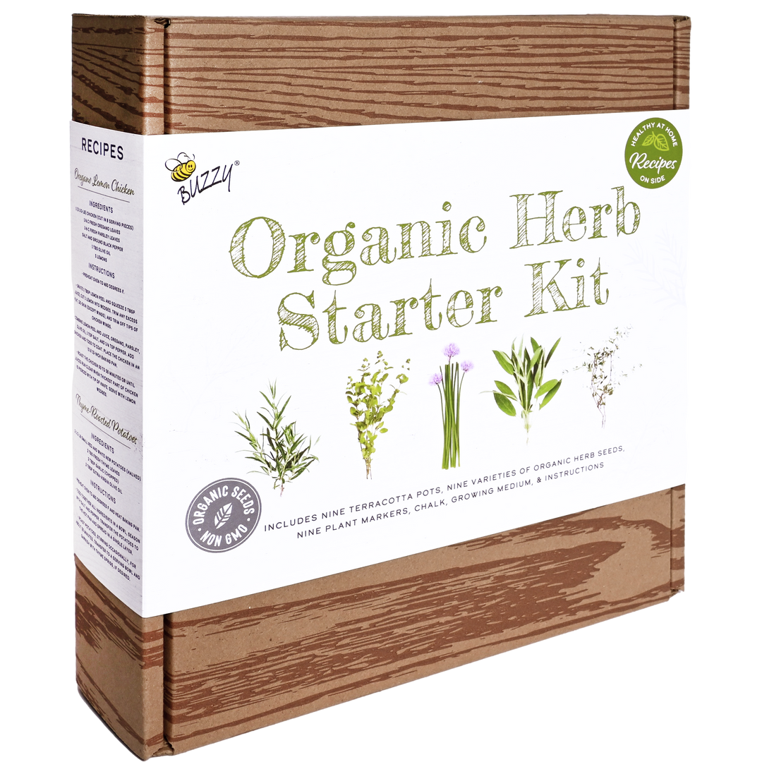 Organic Herb Starter | 9-Pot Terracotta Kit with Seeds & Markers – Indoor Gardening Gift for Home Cooks & Herb Lovers