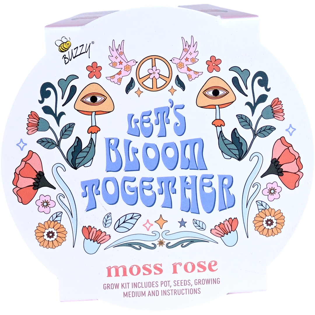 Desert Trio Mini Basin Grow Kit | Cactus, Aloe, and Moss Rose | 3-pack