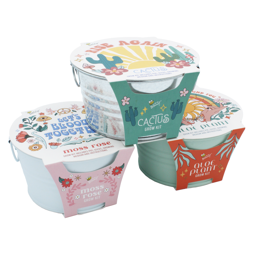 Desert Trio Mini Basin Grow Kit | Cactus, Aloe, and Moss Rose | 3-pack