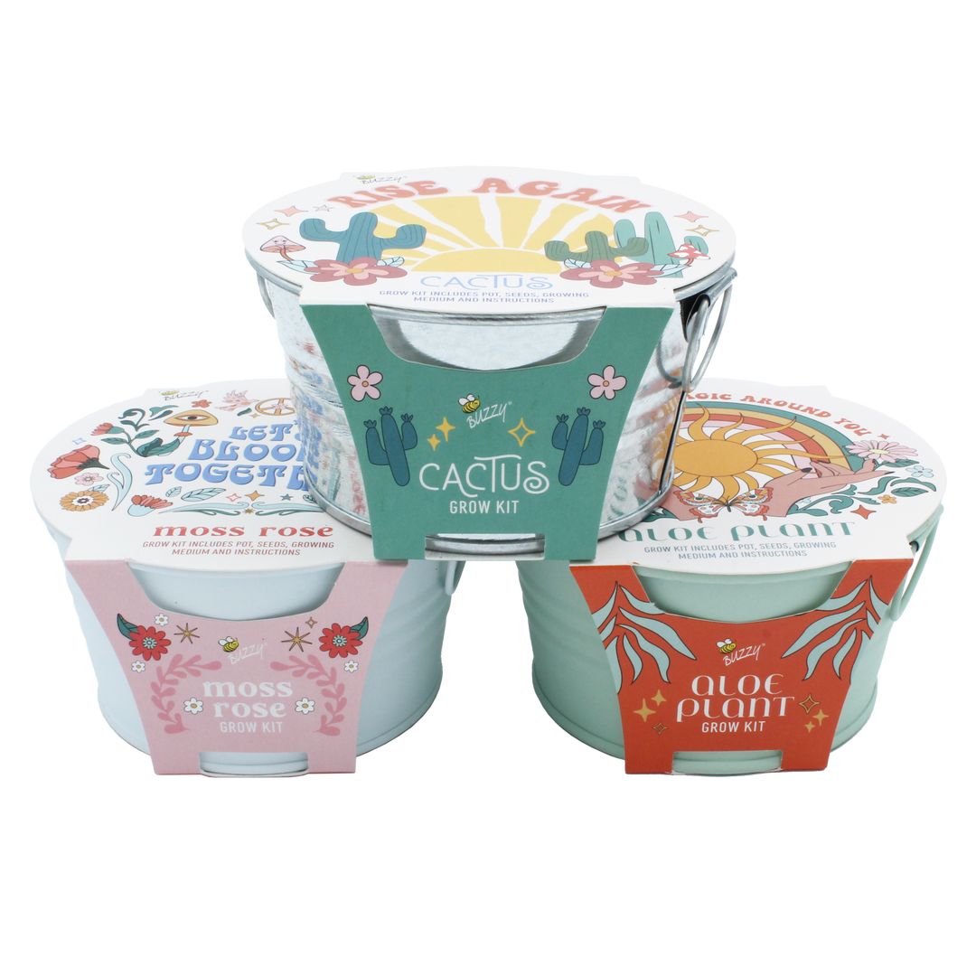 Desert Trio Mini Basin Grow Kit | Cactus, Aloe, and Moss Rose | 3-pack