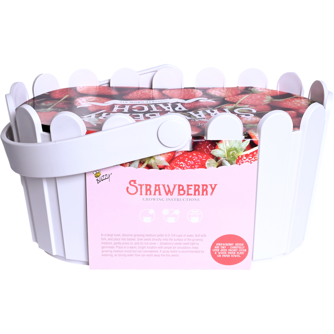Strawberry Basket Grow Kit | White