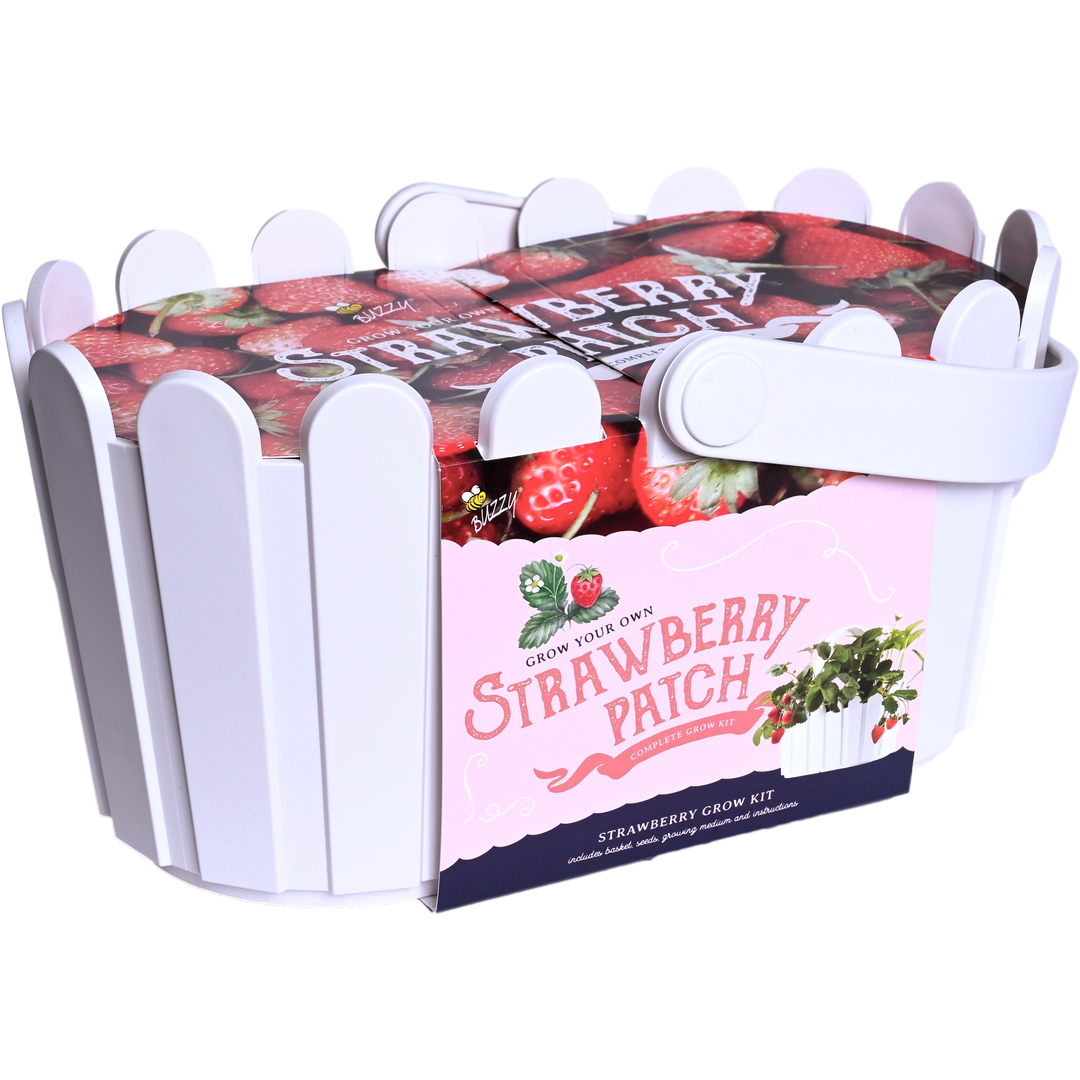 Strawberry Basket Grow Kit | White