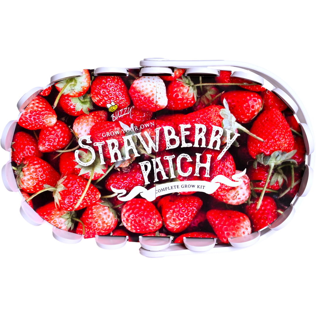 Strawberry Basket Grow Kit | White