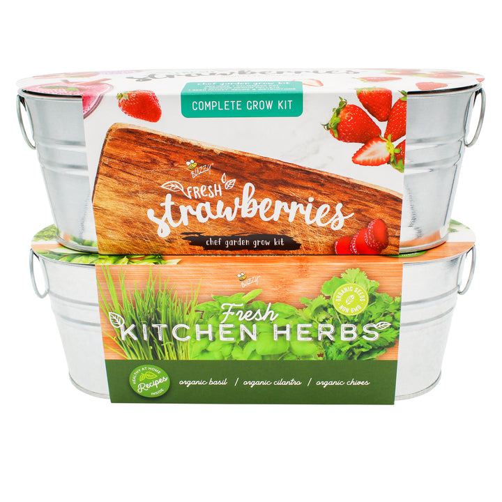 Kitchen Herbs & Strawberry Windowsill Grow Kit | 2-pack