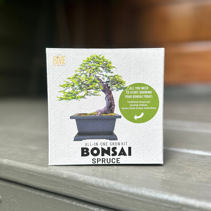Spruce Bonsai Complete Grow Kit