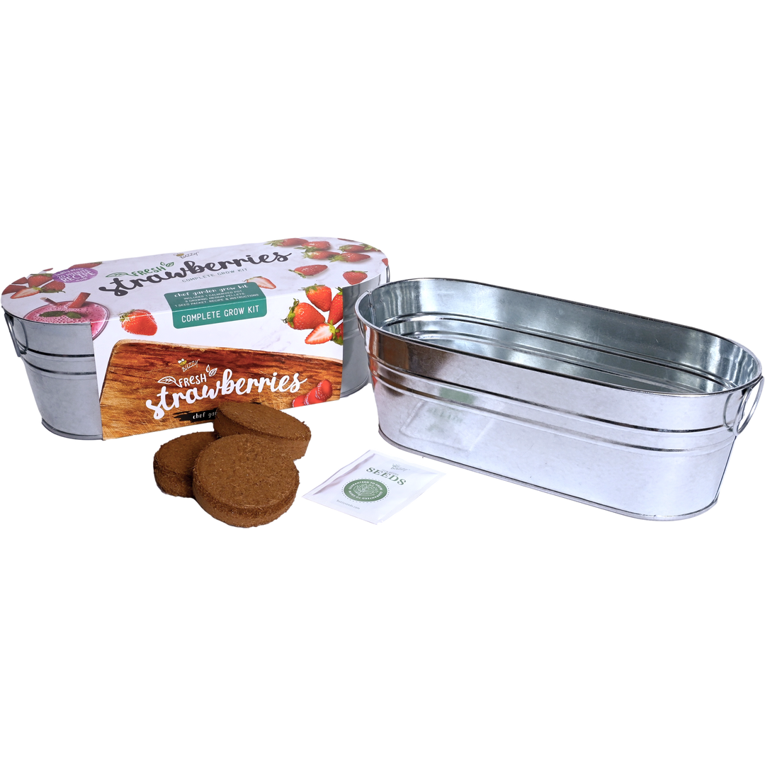 Strawberry Garden Windowsill Grow Kit | Alpine Strawberry