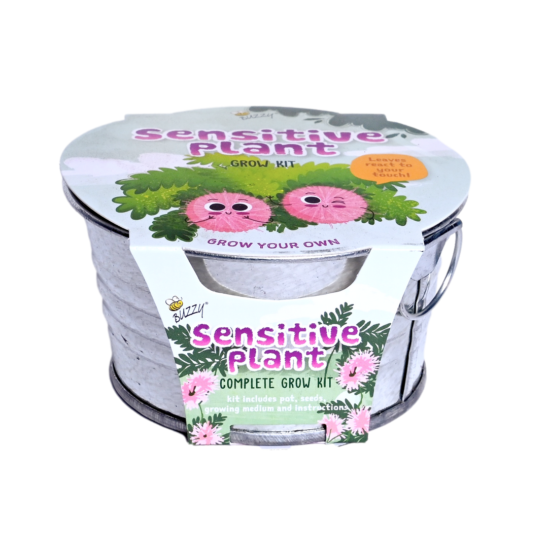 Kids Sensitive Plant Mini Basin Grow Kit