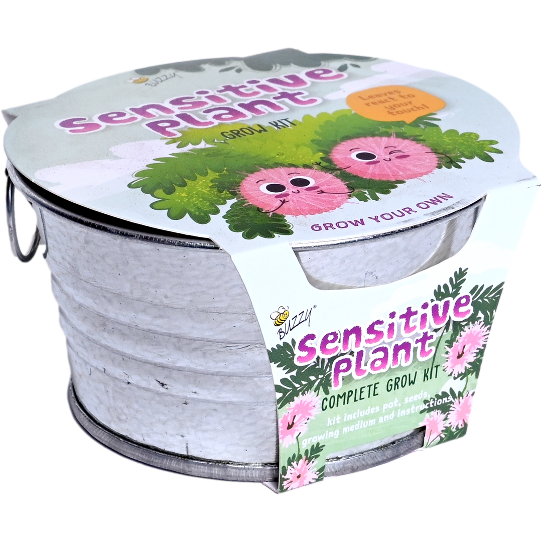 Kids Sensitive Plant Mini Basin Grow Kit
