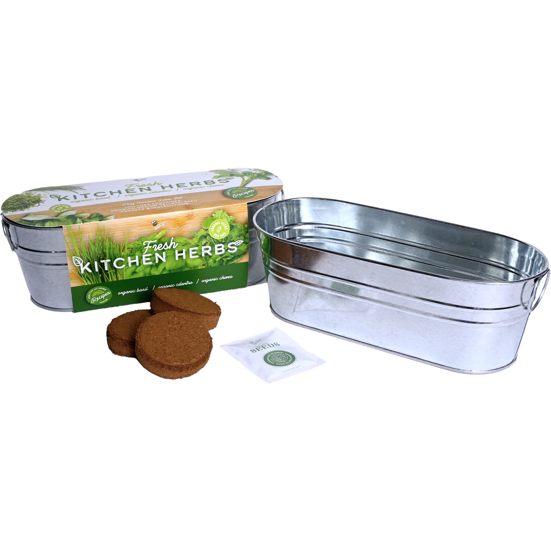 Organic Kitchen Herbs Windowsill Grow Kit | Basil, Cilantro, & Chives