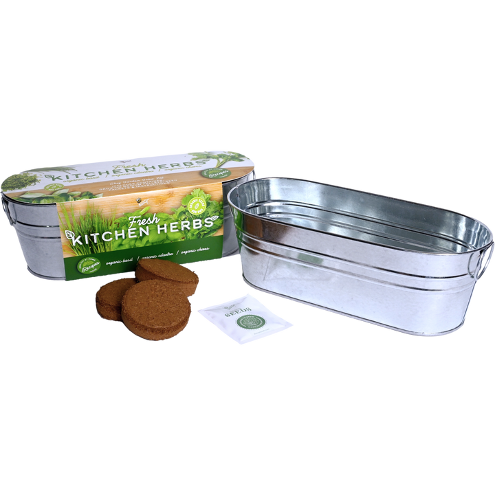 Organic Kitchen Herbs Windowsill Grow Kit | Basil, Cilantro, & Chives