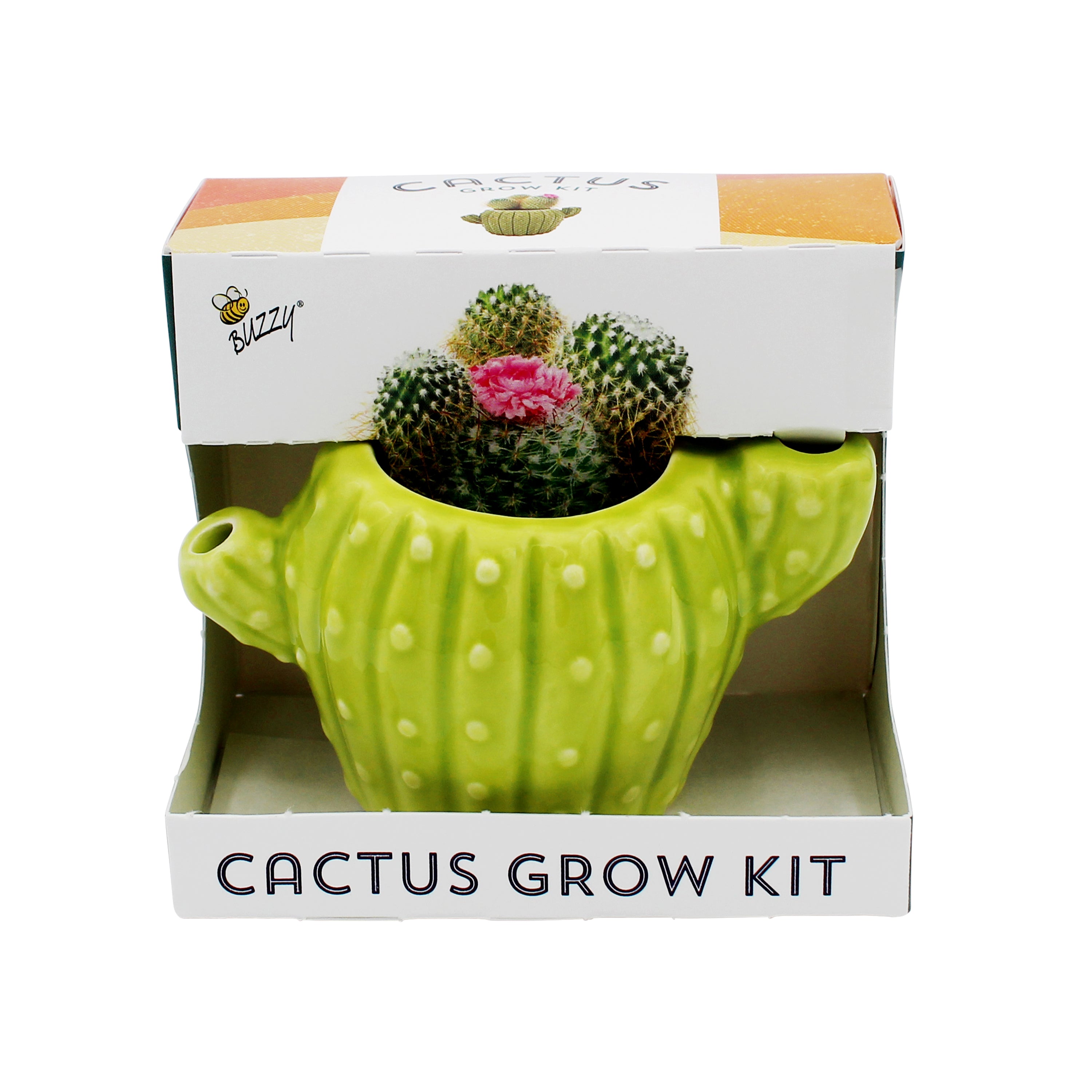 Cactus Grow Kit