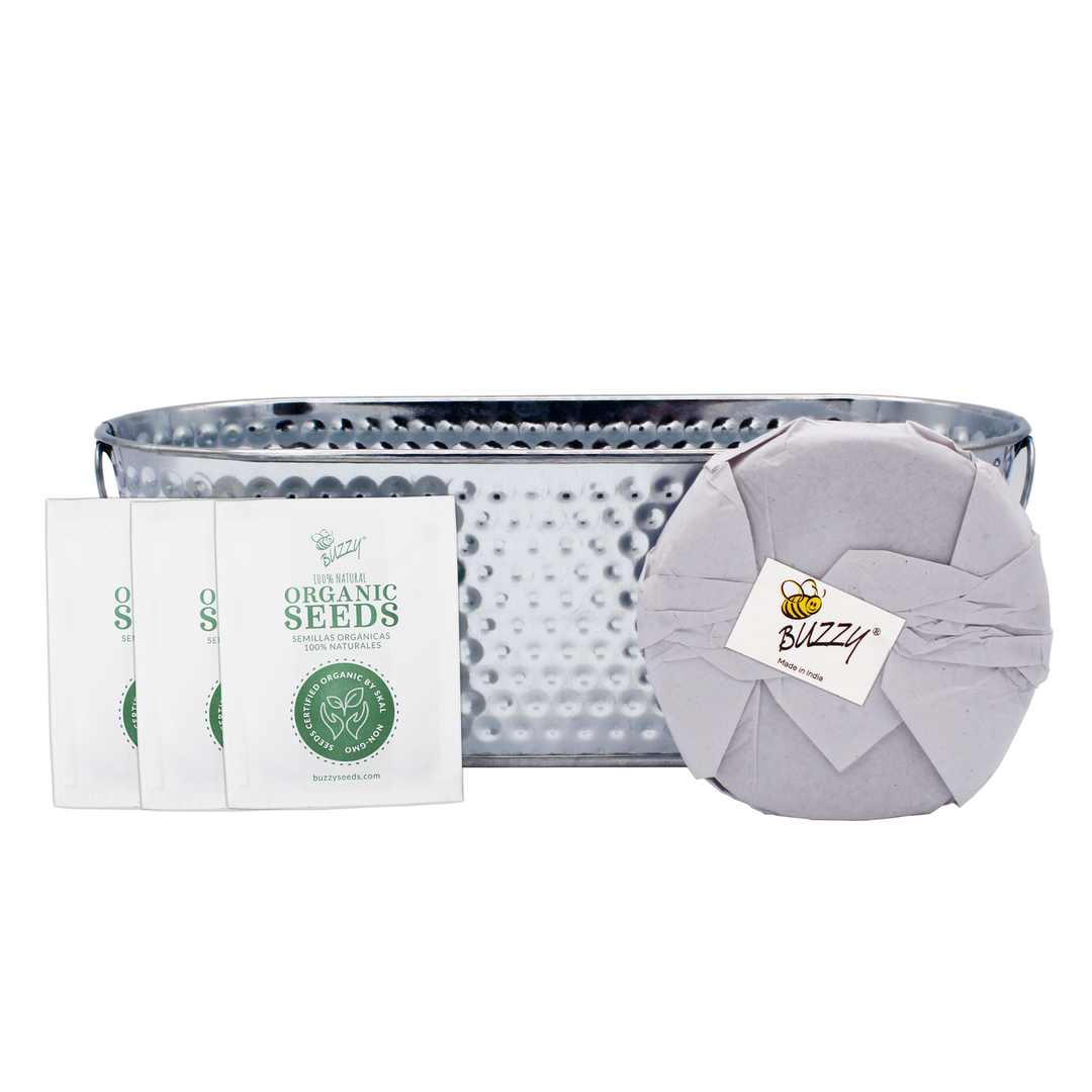 Organic Grilling Herbs Windowsill Grow Kit | Rosemary, Sage, & Thyme