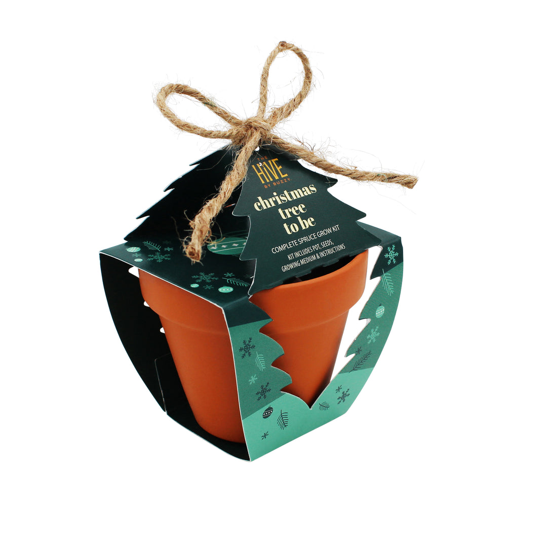 Christmas Tree To Be Terracotta Grow Kit | Spruce Evergreen Tree 4 pack