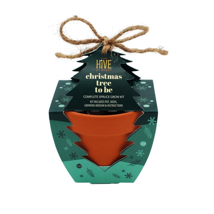 Christmas Tree To Be Terracotta Grow Kit | Spruce Evergreen Tree 4 pack