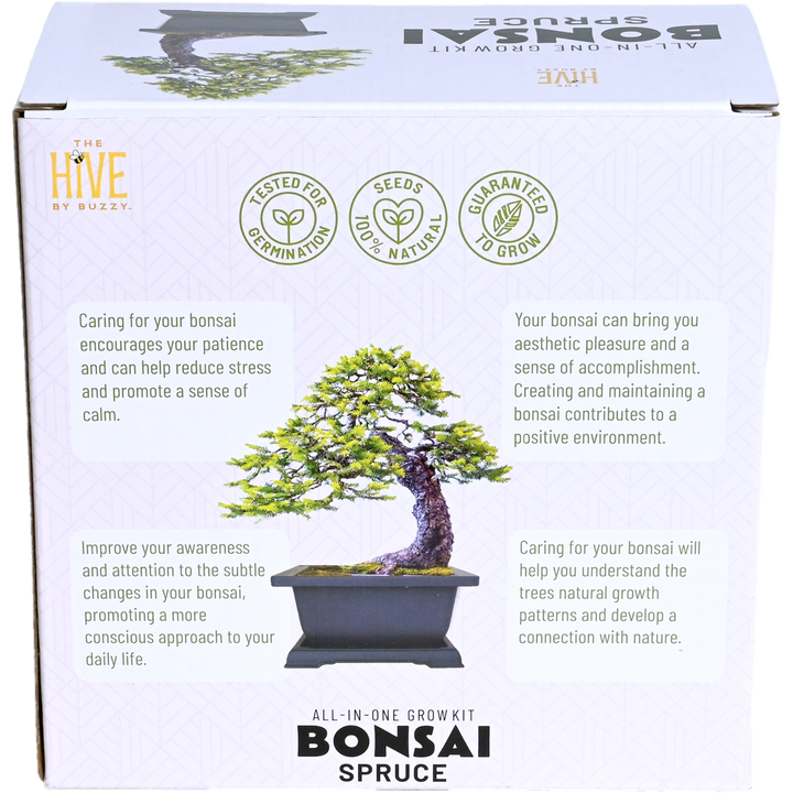 Spruce Bonsai Complete Grow Kit