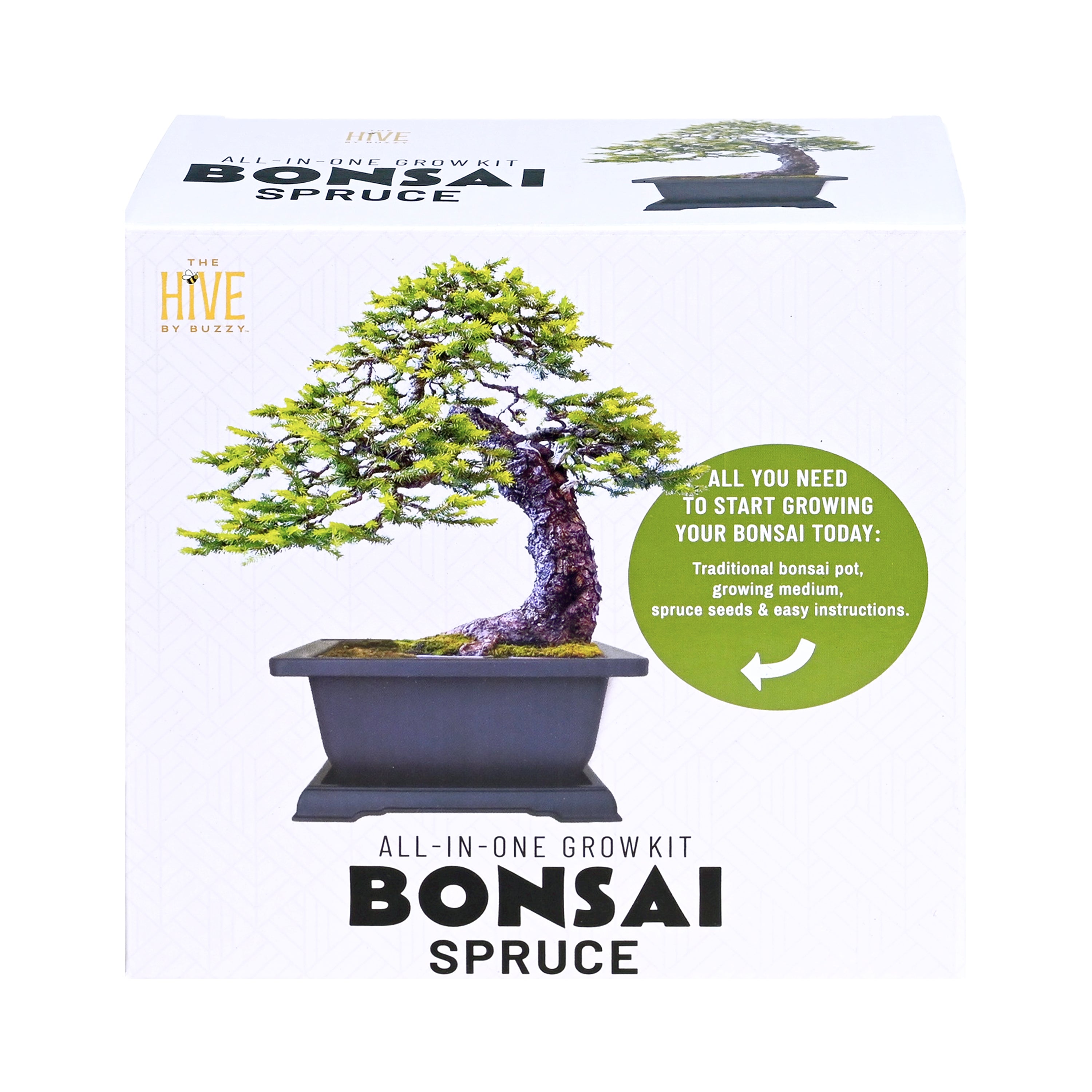 BONSAIページ Complete Spruce Bonsai Grow Kit for Beginners – Buzzy Seeds