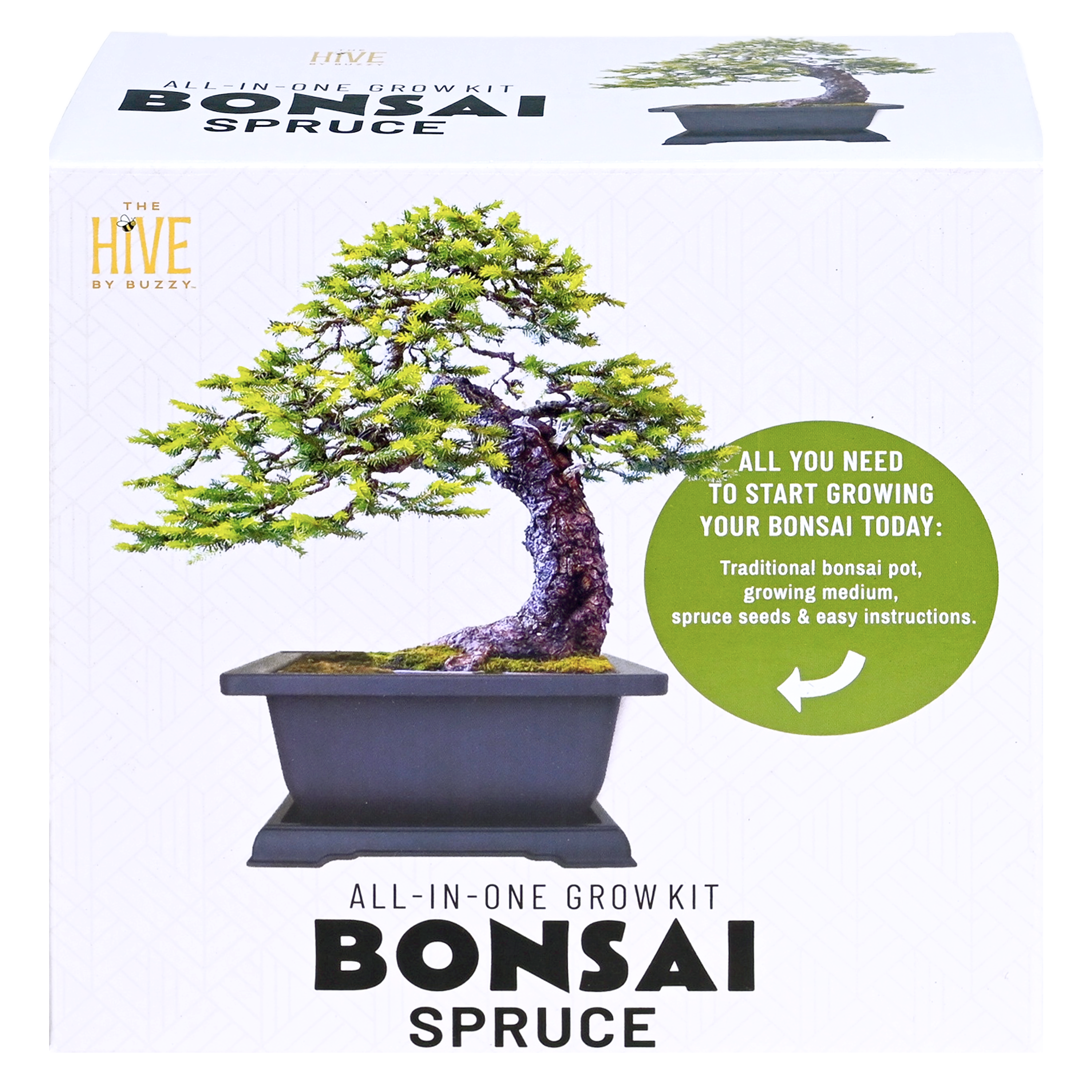 thumbnail image 2 of CZ Grain Ficus Bonsai Tree Seeds – 25+ Seeds – Grow Indoor Houseplant – Made In USA 2 of 3