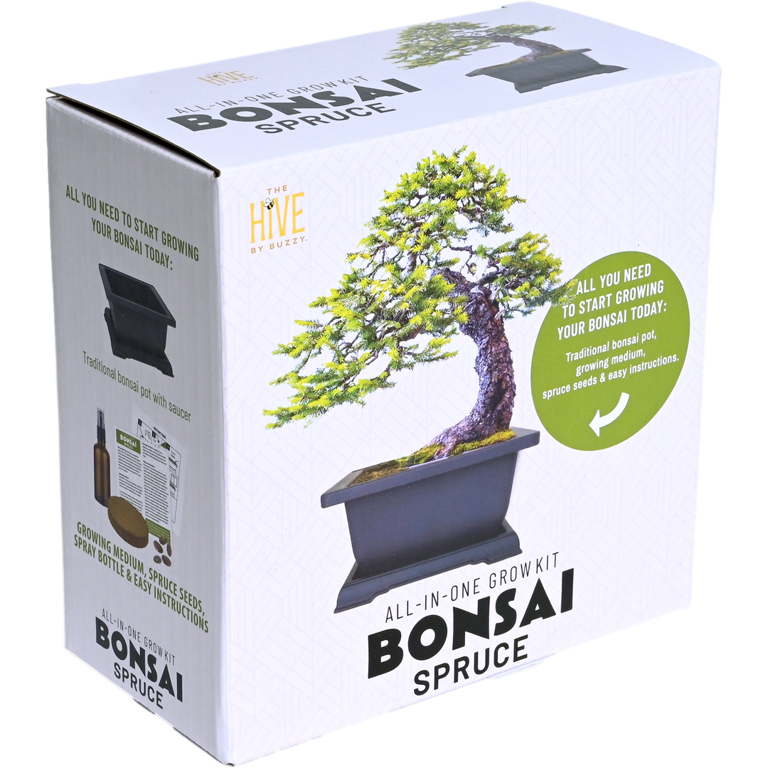 Spruce Bonsai Complete Grow Kit
